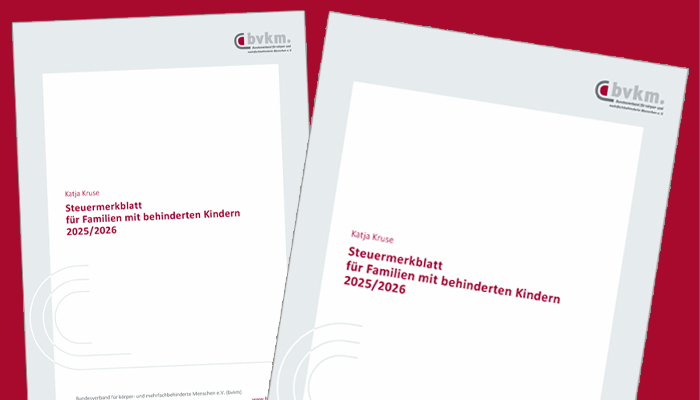 Das Bild zeigt das Titelbild des Steuermerkblatts